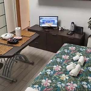 Lovely Basement Trevi Fountain Apartment